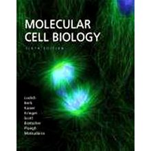 Molecular Cell Biology - Harvey Lodish