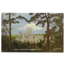 WELLS CATHEDRAL FROM TOR HILL, SOMERSET unused vintage postcard =