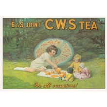 CWS Tea For All Occasions Advertising Postcard
