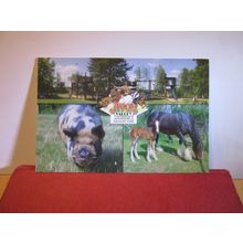multiview, AVON VALLEY WILDLIFE PARK, KEYNSHAM, BRISTOL. unused postcard =