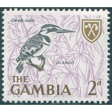 Gambia 1966 2d Lesser Pied Kingfisher SG236 MNH