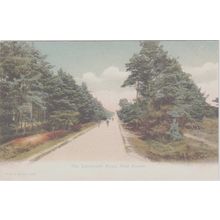 THe Lyndhurst Road New Forest Hampshire F.G.O. Stuart 1395 Postcard (QHAM186)