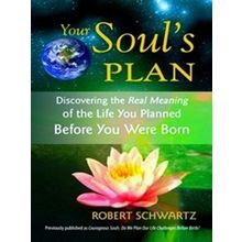 Your Souls Plan