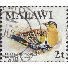 MALAWI, BIRD, Double-banded Sandgrouse, white 1975, 2t