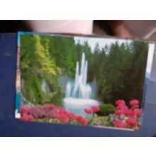 postcard The ross fountain, Butchart gardens canada