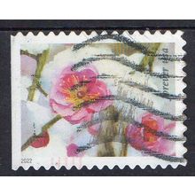 USA 2022 Snowy Beauty - Plum Blossom Forever Used