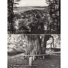 Selborne From The Hanger Trumpeters Grave 2x Hampshire Postcard