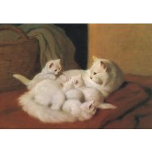 The New Litter Arthur Heyer Cat Kitten Medici Postcard
