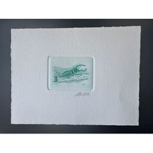 Belgique 1996 COB 2632 Epreuve d'artiste FDC Insect Insecte Lucane cerf-volant