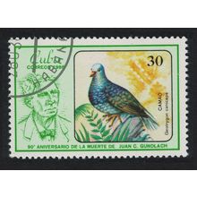 Caribic Grey-faced quail dove Bird 1986 CTO SG#3156