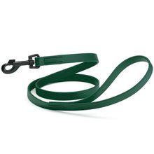 Dog Pet Waterproof Leash - W3/4" x L4' - Hunter Green