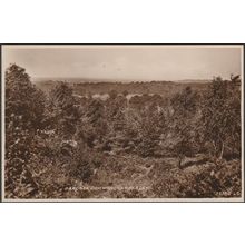 Barossa Common, Camberley, Surrey, c.1940 - RP Postcard