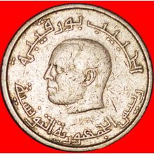 PORTRAIT: TUNISIA ★ 1/2 DINAR 1983! LOW START ★ NO RESERVE!