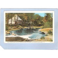 New York Allegheny State Park Trout Brook Near Buffalo Camp & Park Restaur~640