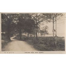Lakeland Road Sawrey Old Cumbria Postcard
