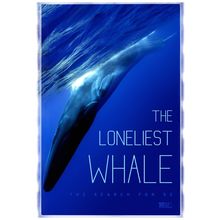 The Loneliest Whale The Search for 52 1 Poster Canvas Movie Film Print A0 A1 A2