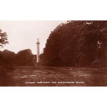Aldbury Monument Hertfordshire Herts Woods Forest Antique Real Photo Postcard