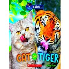 Wild World Cat Or Tiger (Wild World: Pets And Wild Animals)