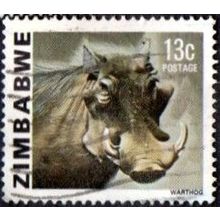 Zimbabwe 1980. 13c Value. Warthog .Fine Used