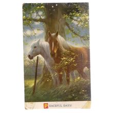 PEACEFUL DAYS! horses.. unused vintage postcard by Bamforth. =