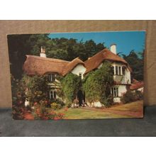 SELWORTHY, SOMERSET. unused vintage postcard Colourmaster