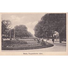 Bonn Poppelsdorf Allee Antique German Postcard