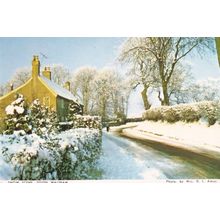 South Walsham in Disaster Snow Weather Norfolk Postcard