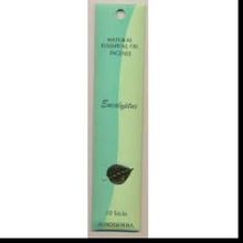 Eucalyptus, Auroshikha Natural Essential Oil Incense, 10 Stick Pack