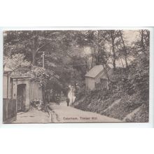 Timber Hill Caterham Postcard Surrey