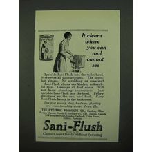 1923 Sani-Flush Cleanser Ad - It Cleans
