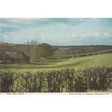 Iden Green Farm Kent Postcard