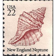 USA, MOLLUSCS, New England Neptune, white 1985, 22c