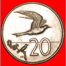 BIRD TERN: COOK ISLANDS ★ 20 CENTS 1974! UNCOMMON ~ UNC ★LOW START★NO RESERVE