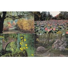 Verbania Pallanza Giardini Botanici Di Villa Taranto 4x Italy Postcard s