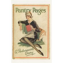 Pantry Pages A Parlourmaids Diary 1929 Book Postcard