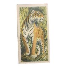 TIGER no 11 ASIAN WILD LIFE Brooke Bond Tea Cards =