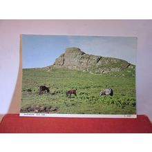 HAY TOR DARTMOOR, DEVON used postcard by Judges 1987 pm =