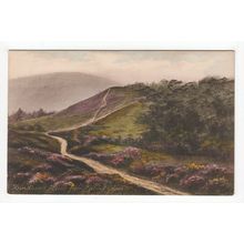 View from the Gibbet Cross Hindhead Postcard Surrey 61426