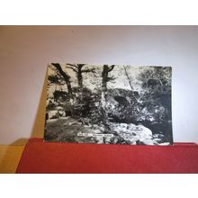 AFON ARTRO, LLANBEDR, BRECON BEACONS unused postcard RP by F. Frith =