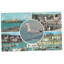 multiview, ST. IVES .CORNWALL .used postcard 1971 postmark seagull #