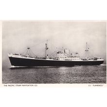 SS Flamenco Pacific Steam Navigation Company Ship Old RPC Postcard