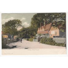 Burley New Forest Postcard Hampshire FGO Stuart 598
