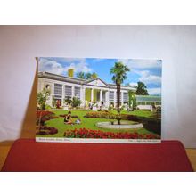 BICTON GARDENS, BICTON, DEVON used vintage postcard John Hinde 1967 pm =