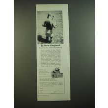 1956 The New England Council Ad - In New England you can see almost everything