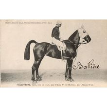 Ieliotrope La France Chevaline Race 1885 Horse Signed Old PB Postcard