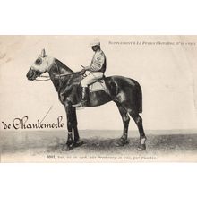 Iosi La France Chevaline Race 1908 Horse Signed Old PB Postcard