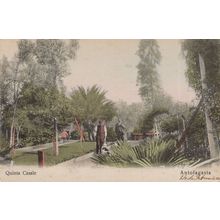 Antofagasta Quinta Casale Antique Chile Postcard
