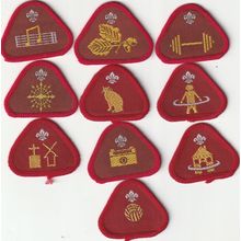 Scout Badges - 10 x Cub Proficiency 1967/03 - Black Backs (BY322)
