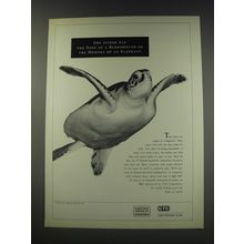 1991 GTE Scientific American Frontiers on PBS Ad - She either has the nose