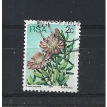 SouthAfrica.SG415 2c Protea Punctata.Fine Used.Sep25q
